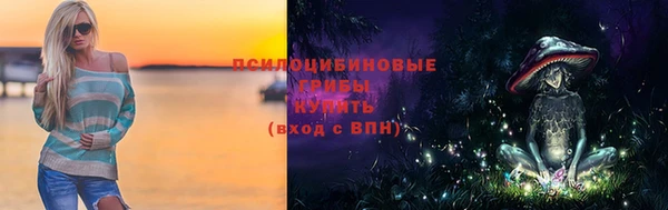 спиды Арсеньев