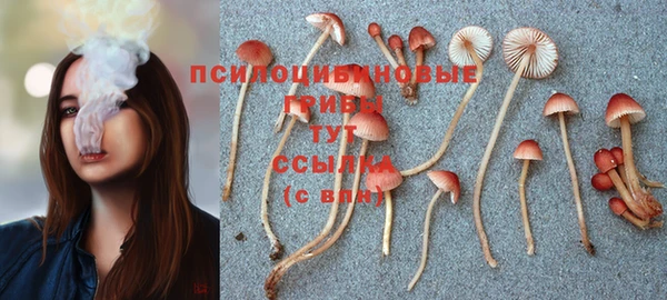 а пвп мука Армянск