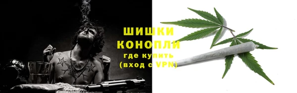 спиды Арсеньев