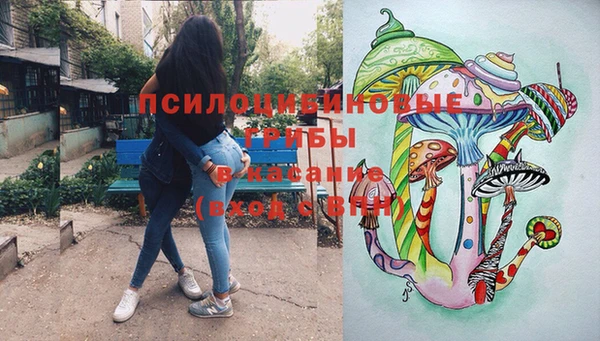 спиды Арсеньев
